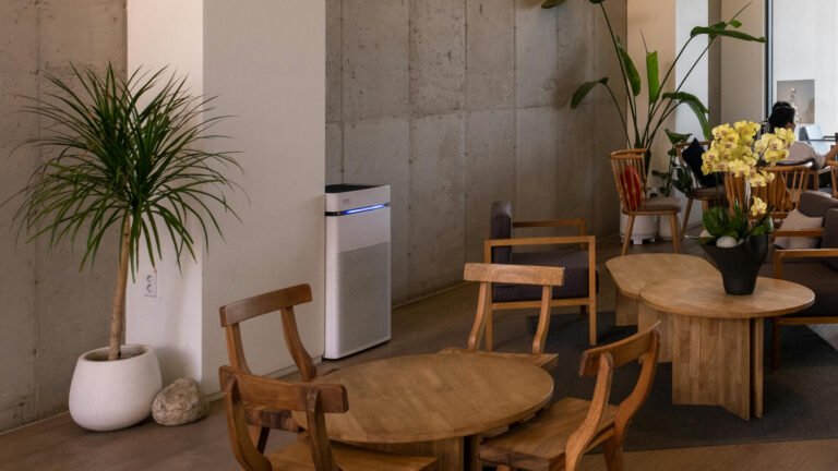 Choosing the Right Air Purifier for Your Newly Decorated Home