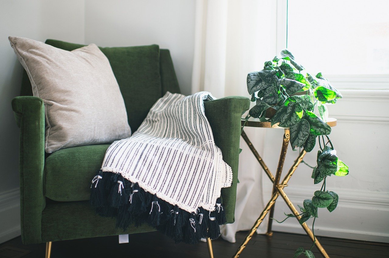 Clean and healthy home interior with plants and natural light